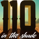 Cast Announced For 42nd Street Moon's 110 IN THE SHADE