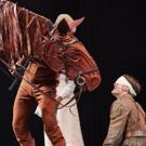 BWW Review: WAR HORSE, Bristol Hippodrome