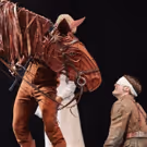 BWW Review: WAR HORSE, Bristol Hippodrome