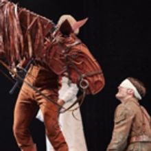 BWW Review: WAR HORSE, Bristol Hippodrome