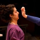 BWW Review: HOW TO DEFEND YOURSELF at Actors Theatre Of Louisville