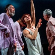 Laura Pawel Dance Co. Comes to Chen Dance Center