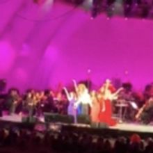 VIDEO: Watch Joshua Turchin Sing 'She's In Love' At Hollywood Bowl's THE LITTLE MERMA