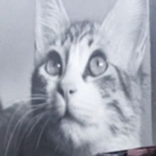 La Ropa, Los Libros Y Los Objetos Cotidianos También Cuentan Historias. La Intimidad