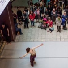 See Chicago Dance Hosts Chicago Dance Month