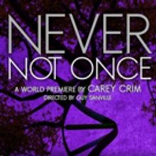 Purple Rose Theatre Opens NEVER NOT ONCE This Month