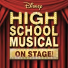 Disney And Nickelodeon Star Lane Napper To Direct HIGH SCHOOL MUSICAL At Axelrod PAC