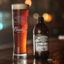 Long-Awaited Budweiser Reserve Copper Lager Arrives on Shelves