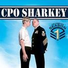 CPO SHARKEY Actor and THE COSBY SHOW Writer David Landsberg Dies at 73