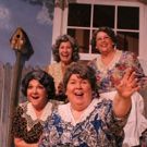 BWW Review: MORNING'S AT SEVEN at Elmwood Playhouse