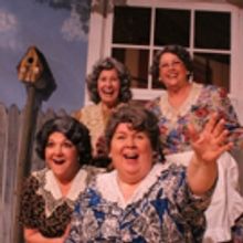 BWW Review: MORNING'S AT SEVEN at Elmwood Playhouse