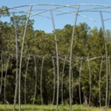 Luther Burbank Center Reopens Outdoor Sculpture Garden Following Wildfires