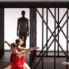 BWW Review: The Final Staging of Lucinda Childs' Iconic AVAILABLE LIGHT