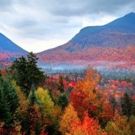 PBS and BBC Announce AUTUMNWATCH-NEW ENGLAND