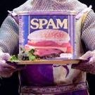 BWW Review: MONTY PYTHON'S SPAMALOT at Hershey Theatre