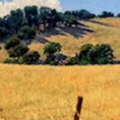 ADG Gallery 800 presents THE GOLDEN BRUSH: A TRIBUTE TO DUNCAN ALANSON SPENCER