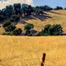 ADG Gallery 800 presents THE GOLDEN BRUSH: A TRIBUTE TO DUNCAN ALANSON SPENCER