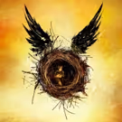 HARRY POTTER AND THE CURSED CHILD to Begin Friday Forty Ticket Lottery March 9
