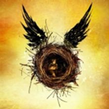 HARRY POTTER AND THE CURSED CHILD to Begin Friday Forty Ticket Lottery March 9
