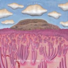 Chicago Based Neo-Psych Rock Band POST ANIMAL Share New Single RALPHIE From Upcoming…