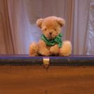 Florida Studio Theatre Presents A 'BEARY' BIG ADVENTURE
