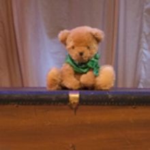 Florida Studio Theatre Presents A 'BEARY' BIG ADVENTURE