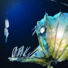 ERTH'S PREHISTORIC AQUARIUM ADVENTURE Comes To Hershey Theatre