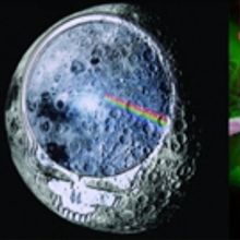 DEAD FLOYD + PINK TALKING FISH Set to Play Colorado's Fox Theatre This Summer