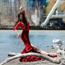 Vancouver International Flamenco Festival Announces 2018 Lineup
