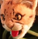 The Rainforest Comes Alive At The Center For Puppetry Arts