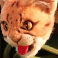 The Rainforest Comes Alive At The Center For Puppetry Arts