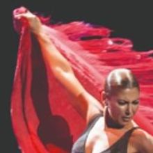 BWW Review: Flamenco Icon Sara Baras Brings SHADOWS to NY City Center