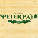 BWW Review: PETER PAN, O MUSICAL Takes Flight at Teatro Alfa, in Sao Paulo