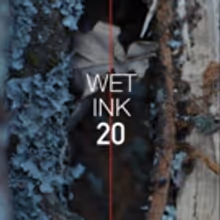 Wet Ink Celebrates 20th Anniversary And Double Album Release At DiMenna Center