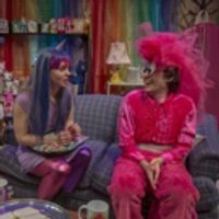 BWW Review: THE ANTELOPE PARTY at Theater Wit Photo