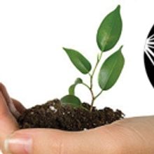 Theatre NOVA Announces Its Michigan Playwrights Festival