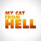 Animal Planet Announces the Return of MY CAT FROM HELL with Jackson Galaxy