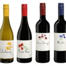 Georges Duboeuf Introduces New Line of Sustainable Wines From Pays d'Oc