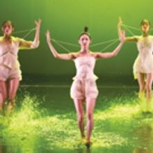 Korean Cultural Centre UK and The Place Presents A Festival Of Korean Dance 2019