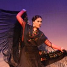 FLAMENCO FIESTA 2018 Comes to Teatro Paraguas