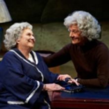 BWW Review: SALT, ROOT, AND ROE Challenges and Touches with Deeply Moving Performance