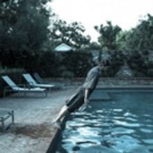 HONEYHONEY's Benjamin Jaffe To Release Solo Album 5/11, New Single SUSAN THE CAT Out…