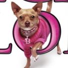 BWW Review: LEGALLY BLONDE at Downtown Cabaret Theatre