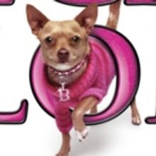 BWW Review: LEGALLY BLONDE at Downtown Cabaret Theatre