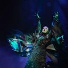 NBC Will Broadcast WICKED Concert to Celebrate 15th Anniversary