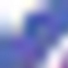 Moscow Ballet Brings THE GIFT OF CHRISTMAS Tour To Houston