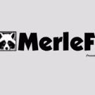 MerleFest Adds Amos Lee, The Milk Carton Kids, and More
