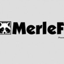 MerleFest Adds Amos Lee, The Milk Carton Kids, and More
