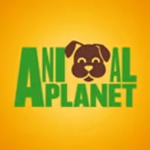 Animal Planet's Puppy Bowl Hits Highest Ratings Ever This Year