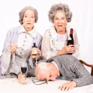 Meadow Brook Theatre Presents ARSENIC AND OLD LACE